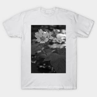 Glacier National Park Wild Flowers, black and white T-Shirt